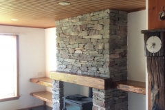 Wood Burning Stove Fireplace